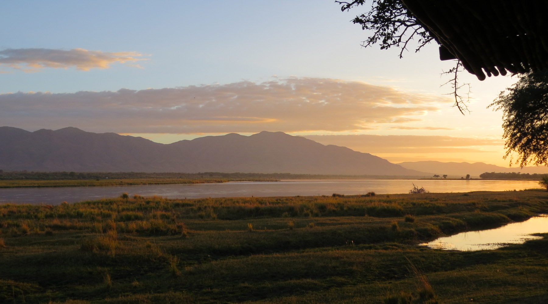 views mana pools zimbabwe yellow zebra safaris