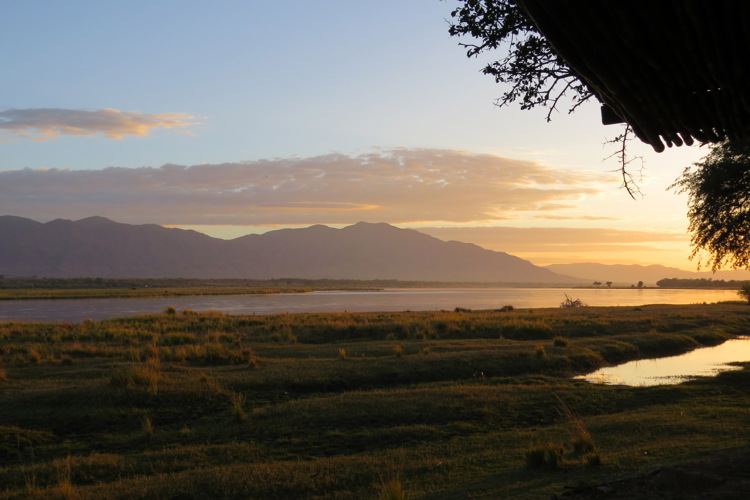 views mana pools zimbabwe yellow zebra safaris