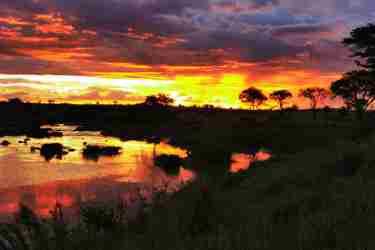 sunset fly camping alex walker serian yellow zebra safaris
