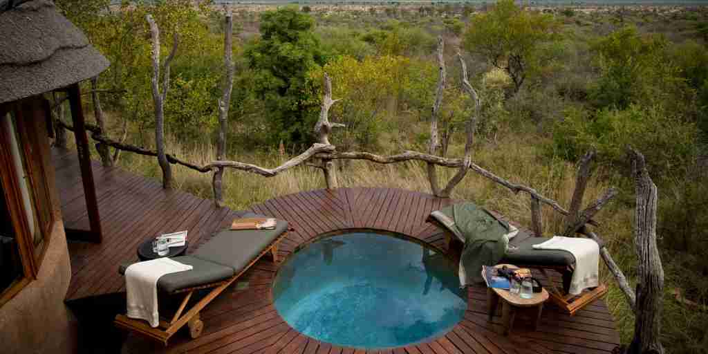 madikwe kopano lodge south africa pool decking yellow zebra safaris