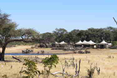 hwange drought zimbabwe yellow zebra safaris