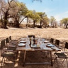 ingwe pan camp dining yellow zebra safaris