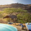 lewa wilderness pool area kenya yellow zebra safaris