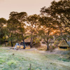 crocodile river camp outlook zambia yellow zebra safaris
