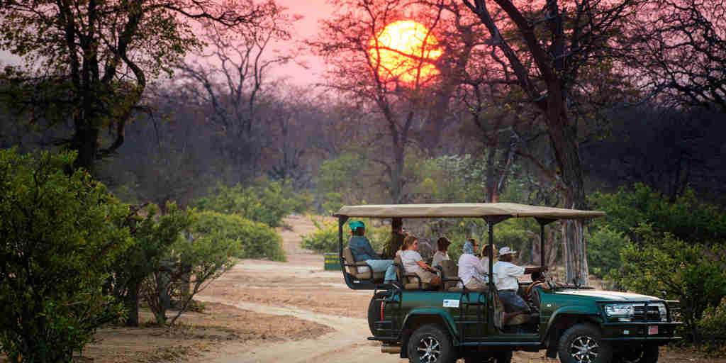 vundu camp game drive sunset zimbabwe yellow zebra safaris