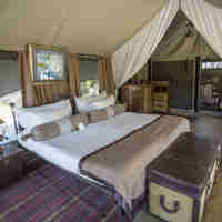 selinda explorers camp bedroom interior botswana yellow zebra safaris