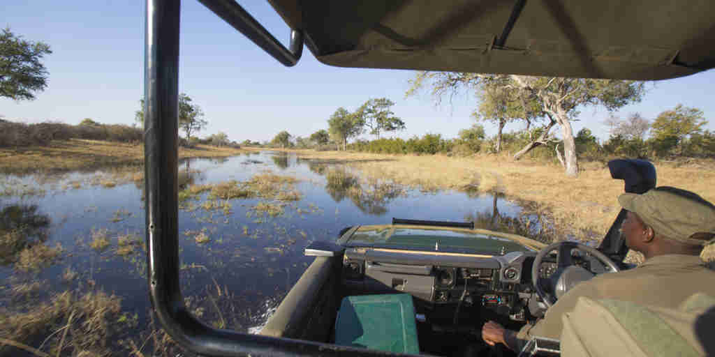 selinda explorers camp game drive botswana yellow zebra safaris