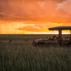 Mara Plains Camp Luxury Camps in Kenya Yellow Zebra Safaris