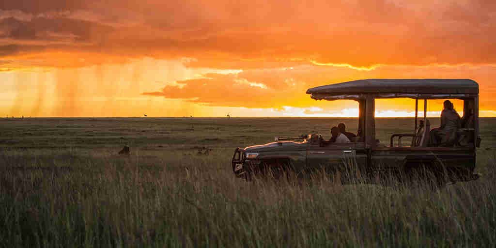 mara plains sunset drive kenya yellow zebra safaris