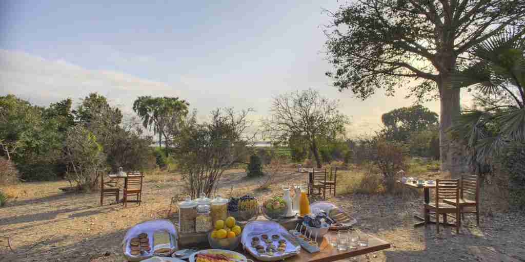 roho y selous camp breakfast tanzania yellow zebra safaris