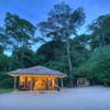Rubondo Island exterior tanzania yellow zebra safaris
