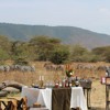 the manor at ngorongor bush dinner tanzania yellow zebra safaris