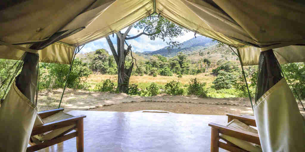 kitich forest camp tent view kenya yellow zebra safaris