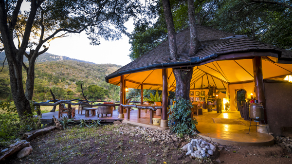 kitich forest camp overview kenya yellow zebra safaris