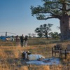 belmond eagle bush picnic exterior view botswana yellow zebra safaris