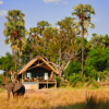 belmond eagle island camp exterior view botswana yellow zebra safaris