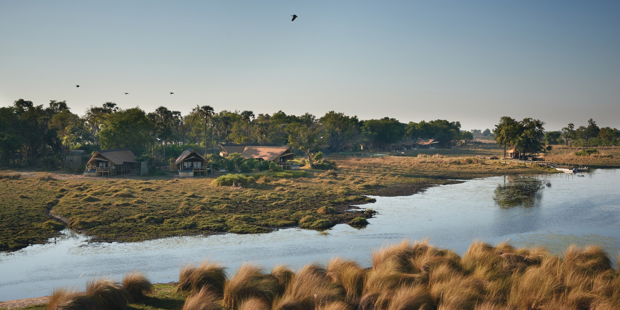 belmond eagle island overview view botswana yellow zebra safaris