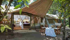 spekes camp tent area kenya yellow zebra safaris