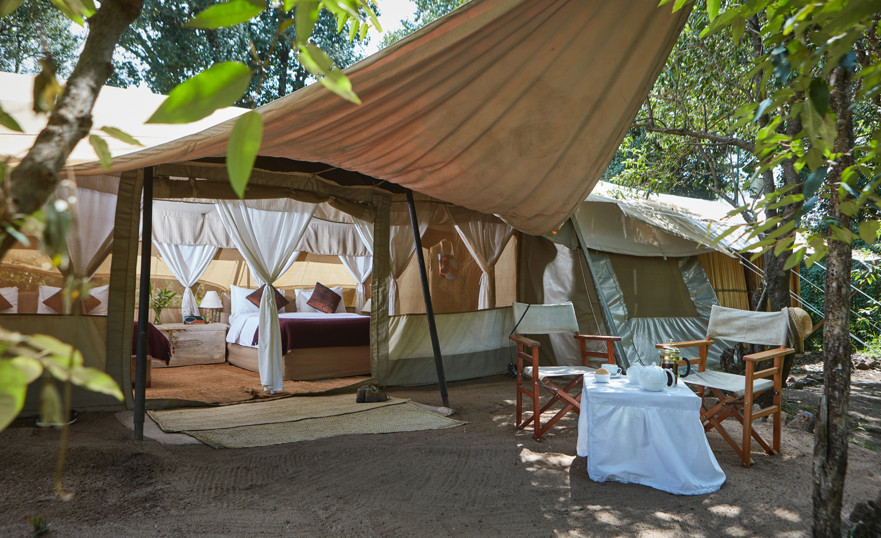 spekes camp tent area kenya yellow zebra safaris