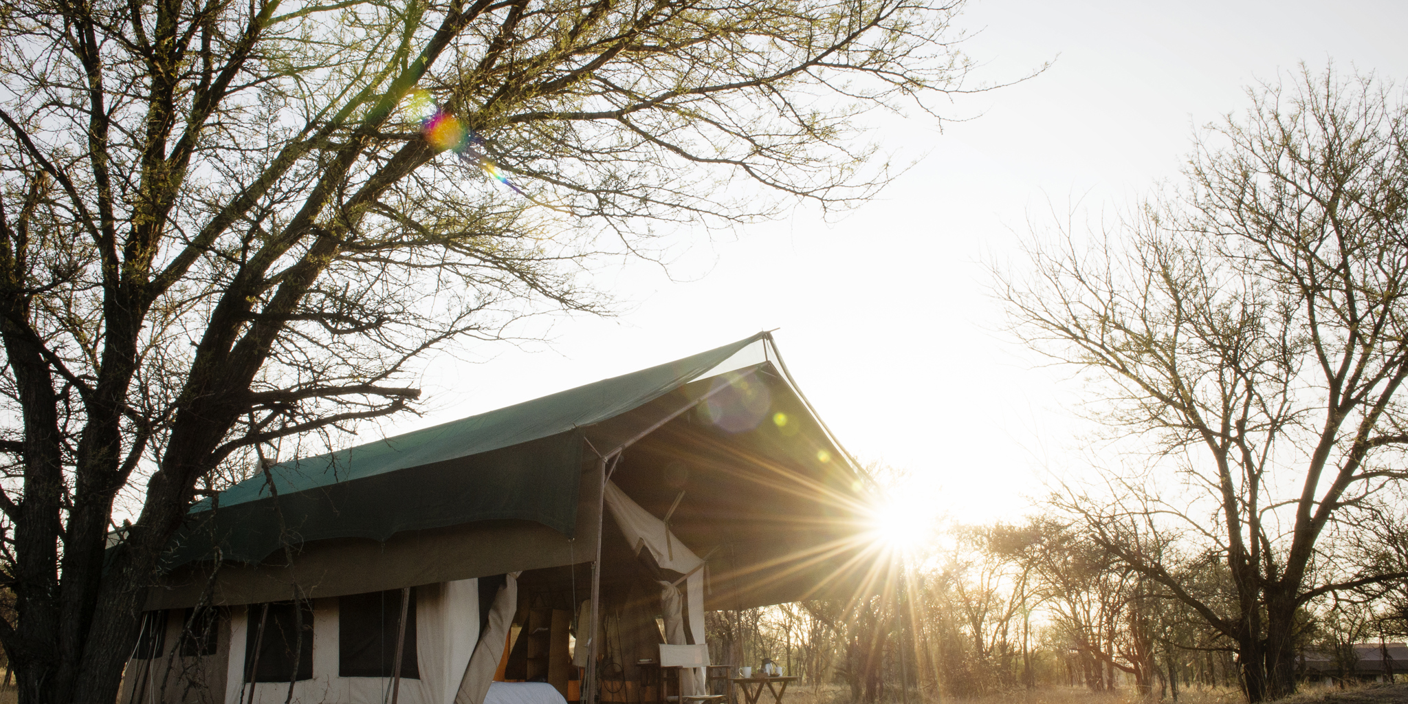 serians serengeti mobile lamai exterior tent tanzania yellow zebra safaris