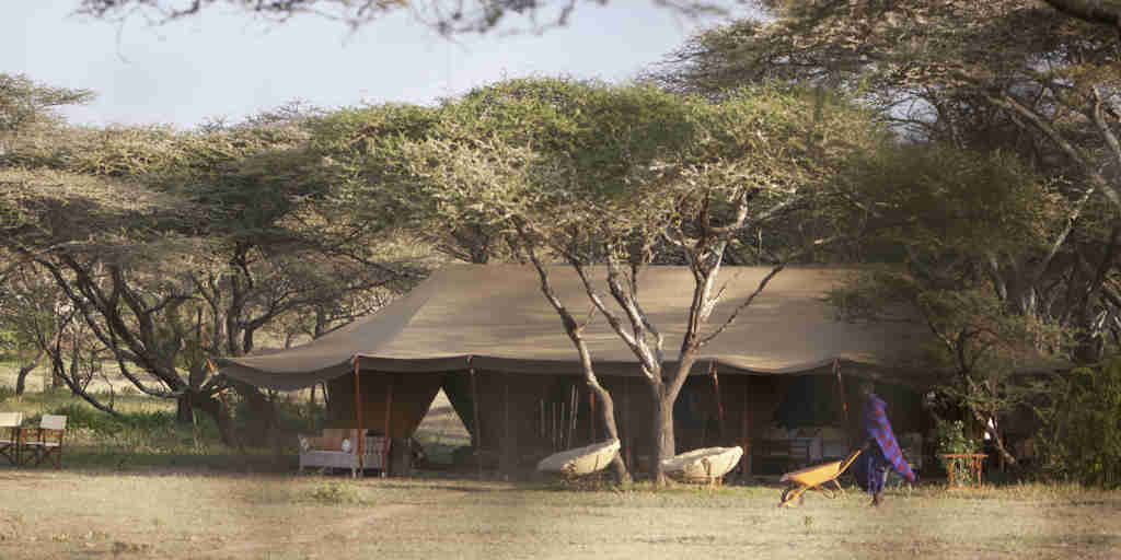 serians serengeti south kakessio tent exterior tanzania yellow zebra safaris