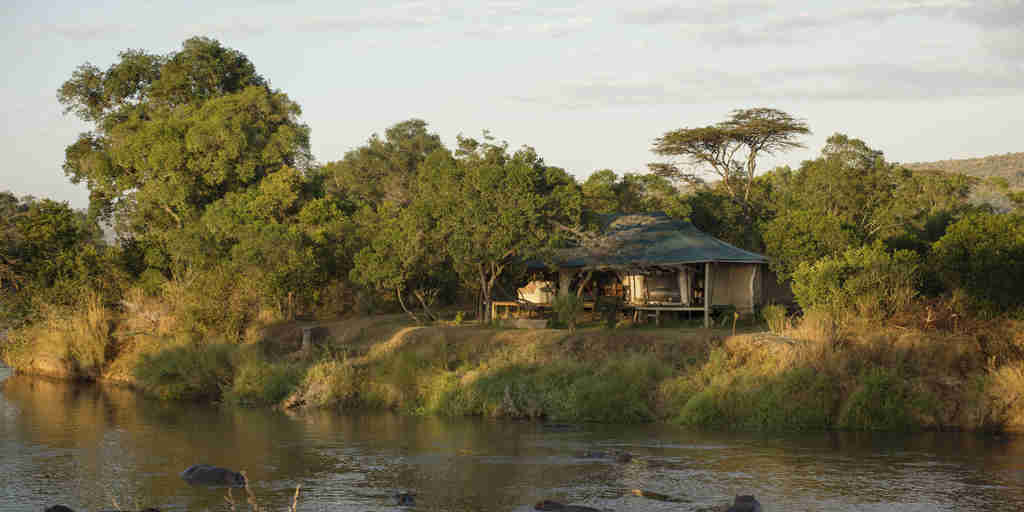 ngare serian tanzania camp view yellow zebra safaris