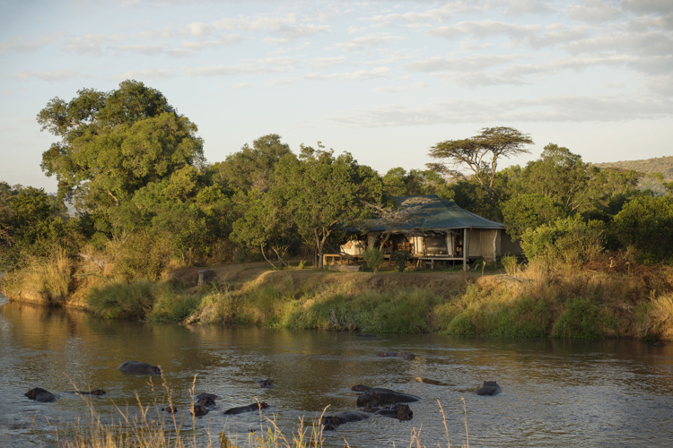 ngare serian tanzania camp view yellow zebra safaris