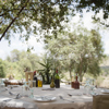 ngare serian tanzania bush dinner yellow zebra safaris