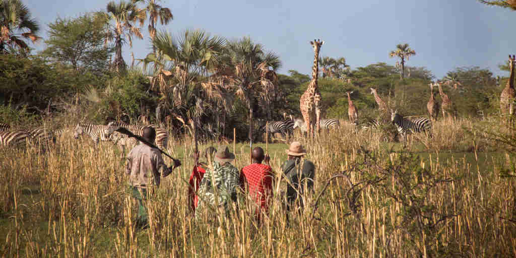 chem chem safari lodge bush walk tanzania yellow zebra safaris