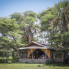chem chem safari lodge tent exterior tanzania yellow zebra safaris