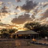little chem chem sunset view tanzania yellow zebra safaris
