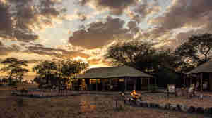 little chem chem sunset view tanzania yellow zebra safaris