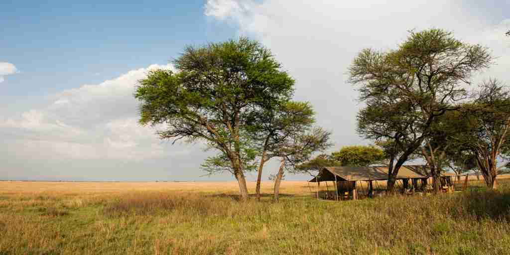 serengeti safari camp tent view tanzania yellow zebra safaris