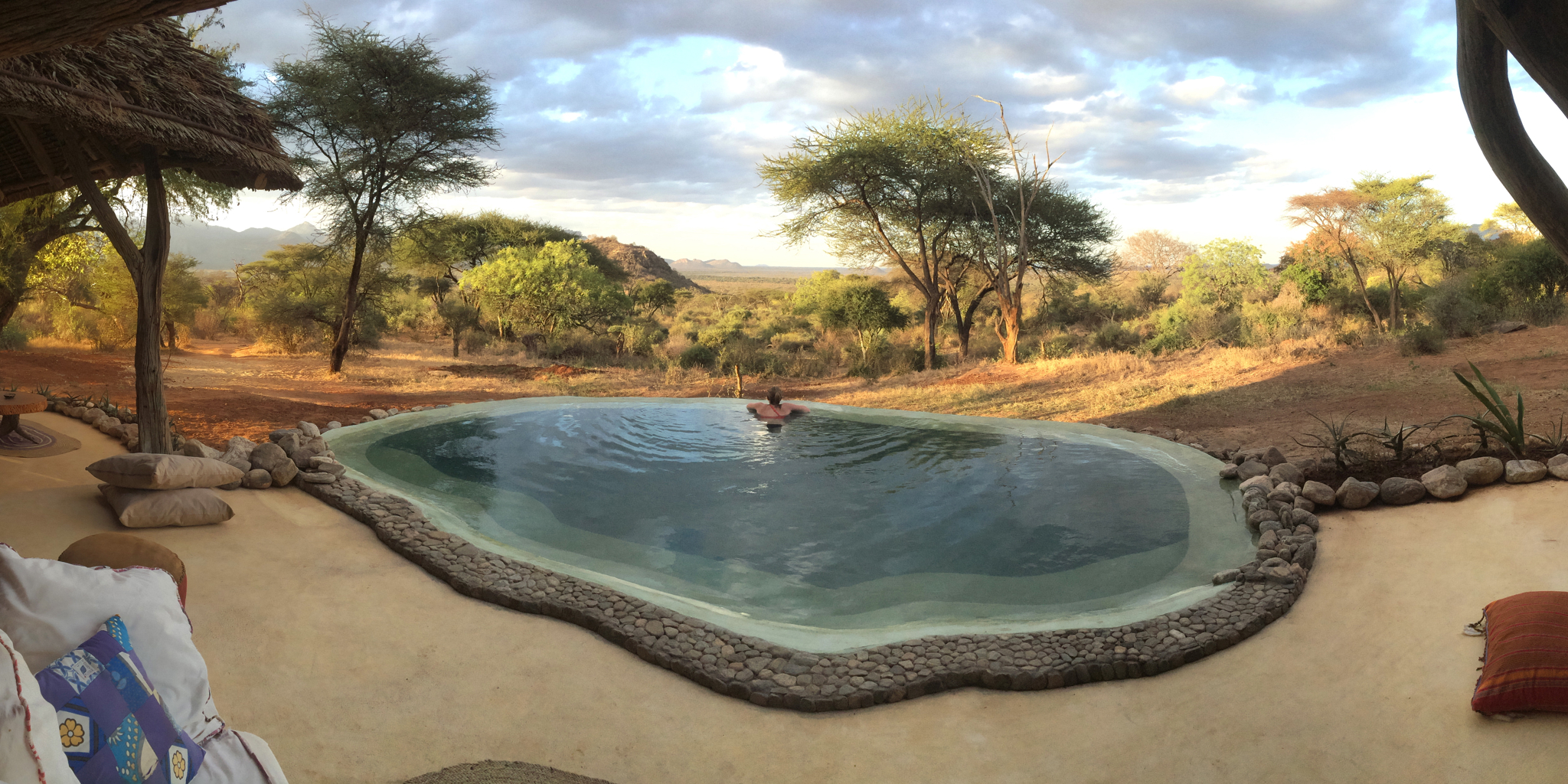 Sarara camp pool area kenya yellow zebra safaris