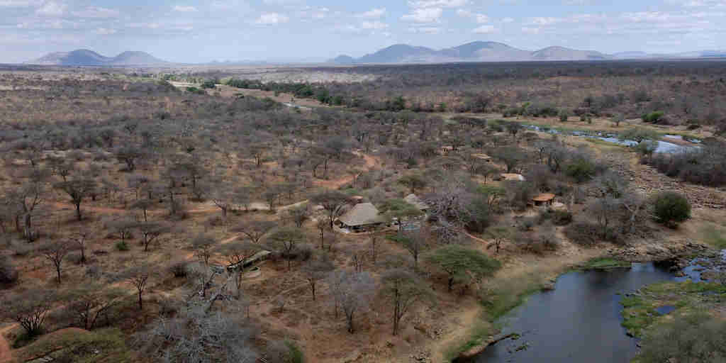 asanja ruaha view tanzania yellow zebra safaris