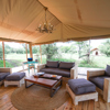 asanja grumeti main area tanzania yellow zebra safaris
