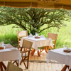 asanja grumeti dining tanzania yellow zebra safaris