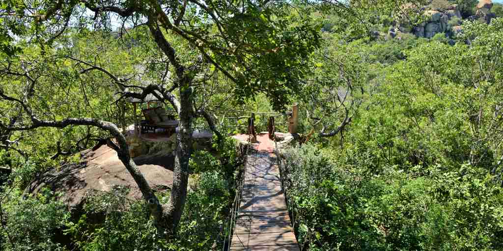 amalinda camp bridge zimbabwe yellow zebra safaris