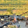 khulu bush camp fire zimbabwe yellow zebra safaris