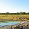 khulu bush camp pool decking zimbabwe yellow zebra safaris