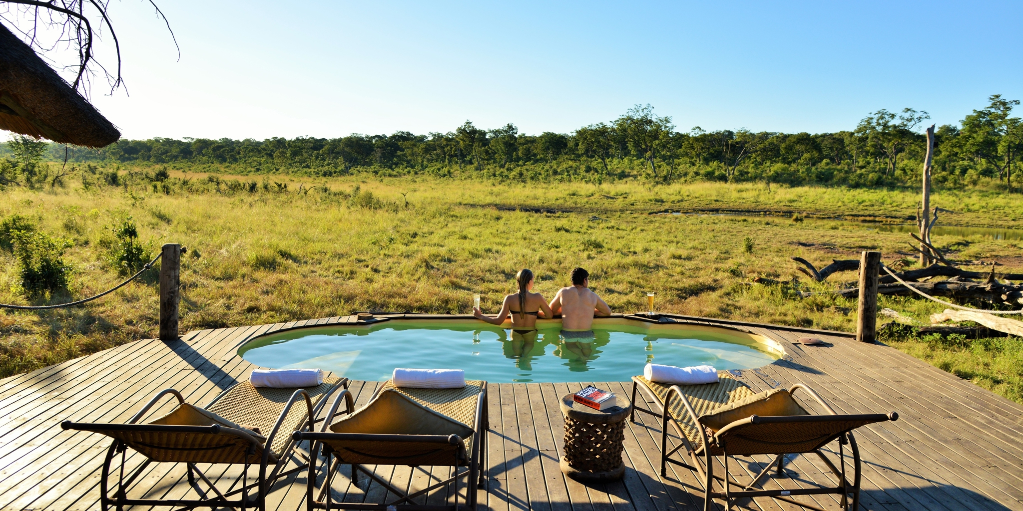 khulu bush camp pool zimbabwe yellow zebra safaris