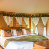 Tipilikwani Mara Camp double bedroom kenya yellow zebra safaris