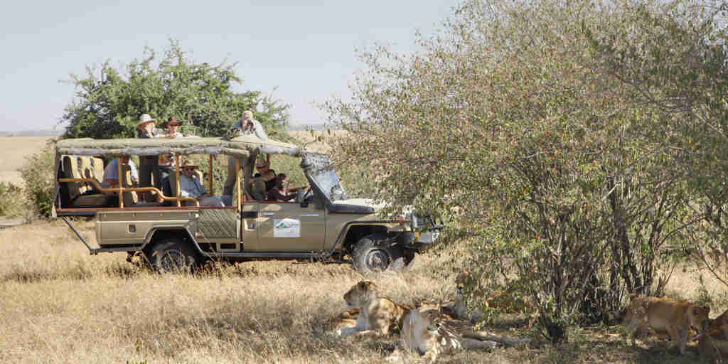 Tipilikwani Mara Camp game drive kenya yellow zebra safaris