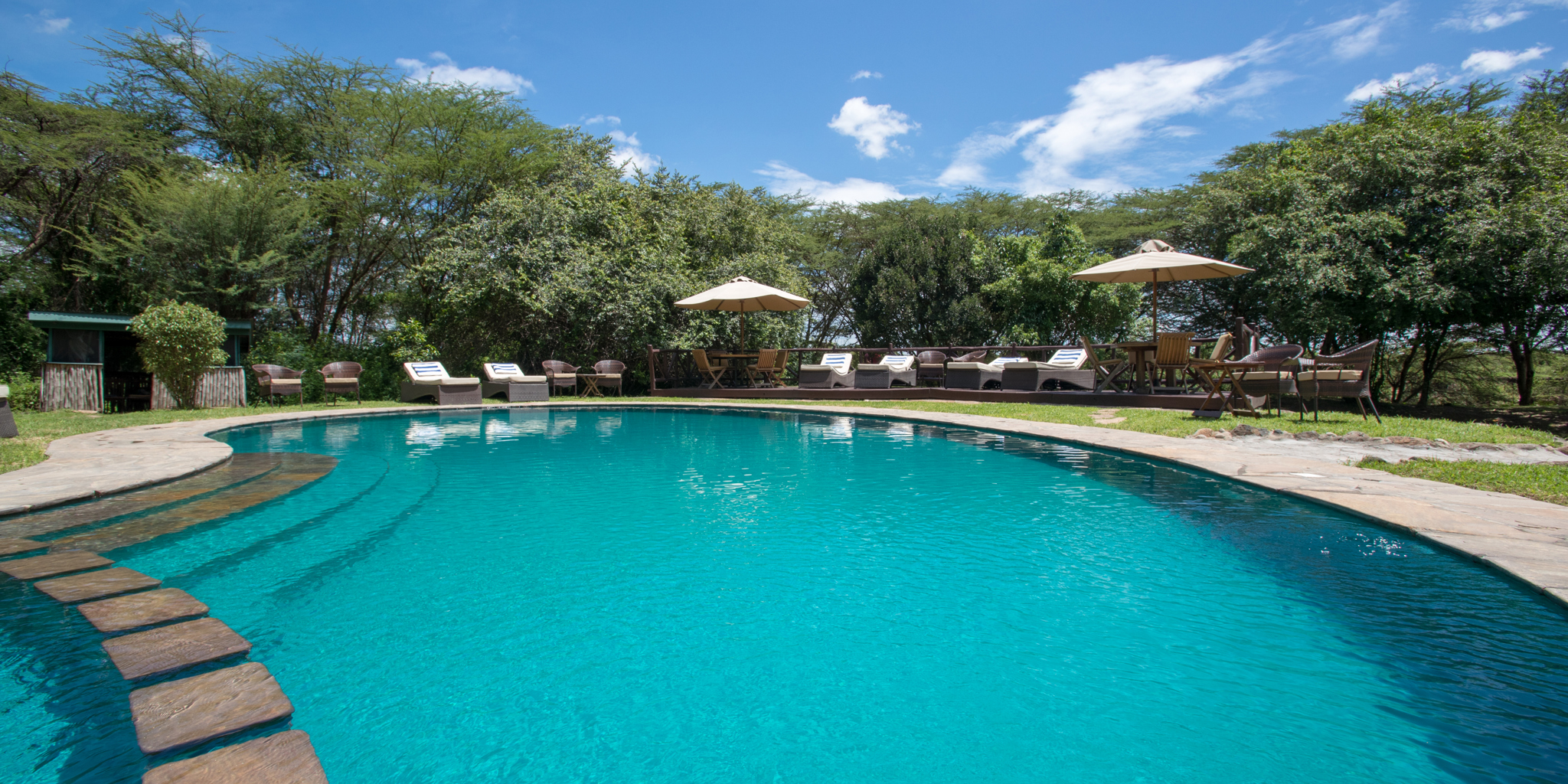Tipilikwani Mara Camp pool area kenya yellow zebra safaris