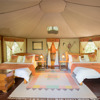 Tipilikwani Mara Camp twin room kenya yellow zebra safaris
