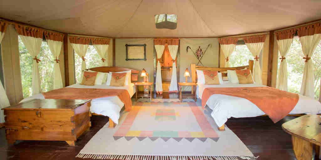 Tipilikwani Mara Camp twin room kenya yellow zebra safaris