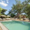 kafunta river lodge pool view yellow zebra safaris