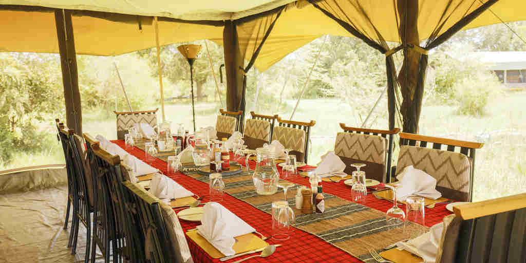 porini lion camp dining table kenya yellow zebra safaris