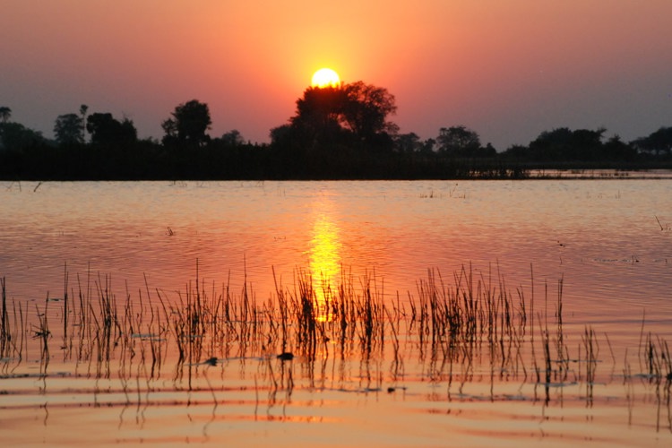 14Sunset botswana client review yellow zebra safaris