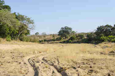 2.Safari landscape client blog south africa safari yellow zebra safaris
